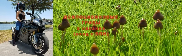 MDMA Premium VHQ Белокуриха