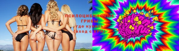 прущие крисы Беломорск