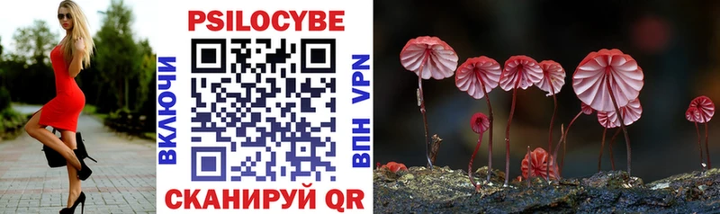 Галлюциногенные грибы Psilocybe  нарко площадка клад  Кувандык 